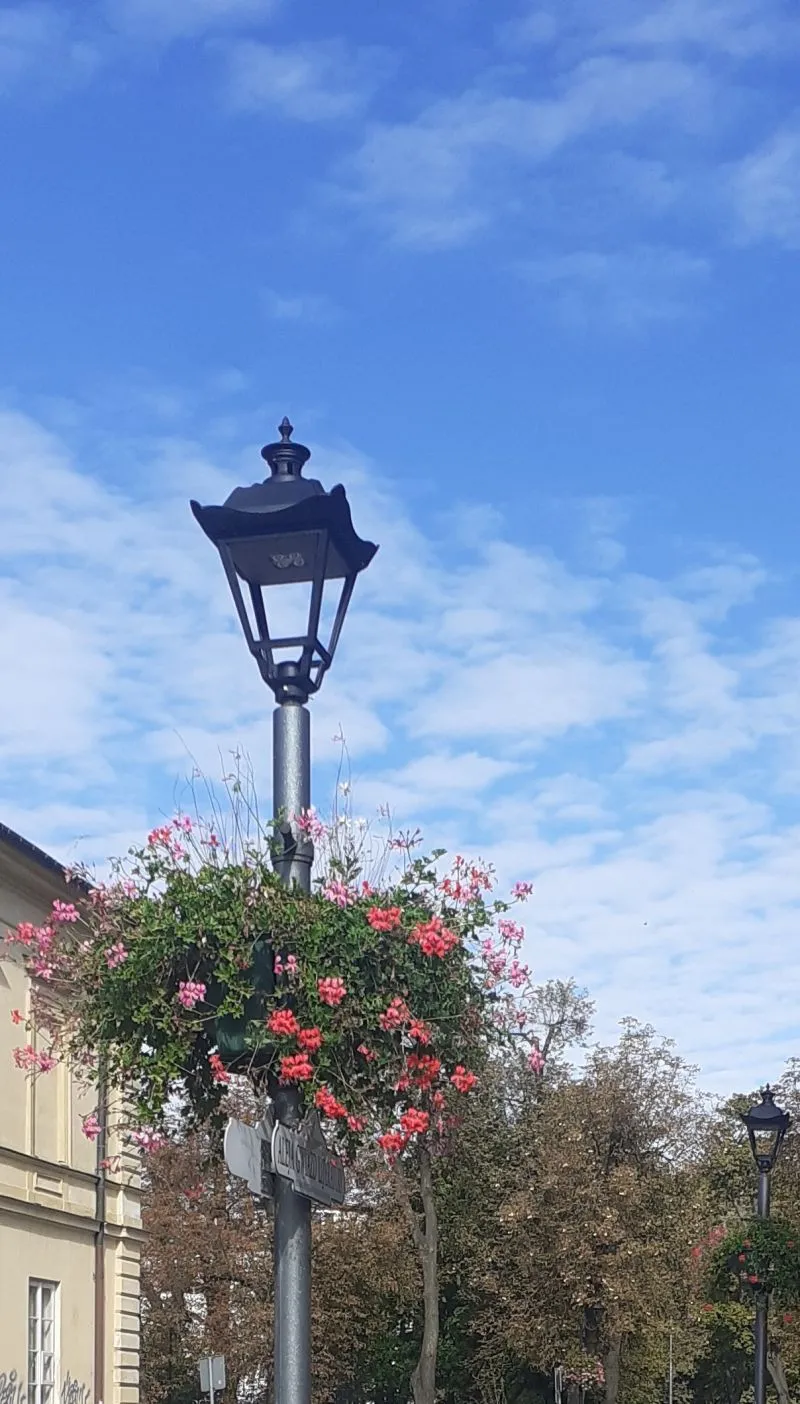 Czarna latarnia uliczna z wiszącym kwiatowym koszem zawierającym czerwone i różowe kwiaty na tle niebieskiego nieba.