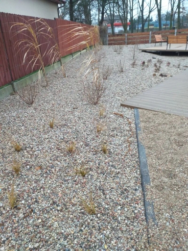 Teren pokryty drobnymi kamieniami z rozrzuconymi kępami traw i krzewów obok drewnianej platformy oraz ogrodzenia.