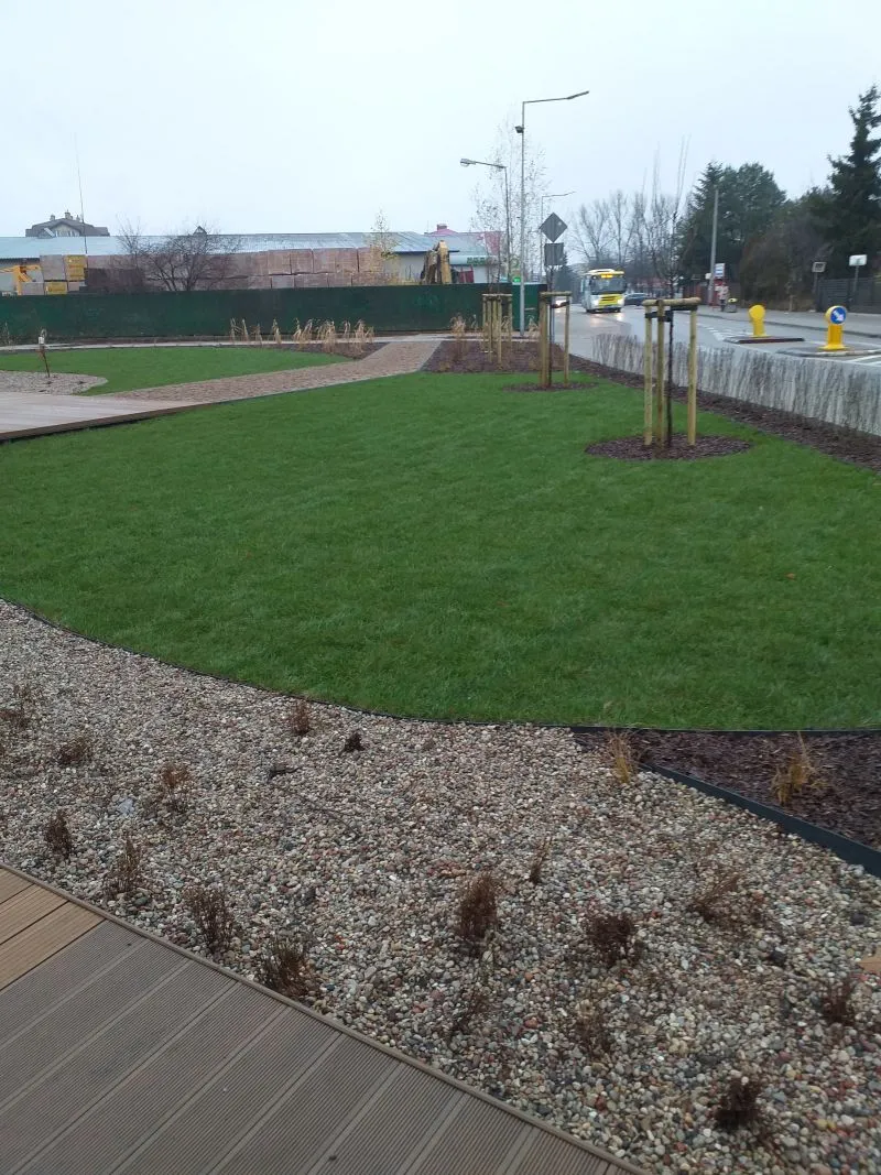 Trawnik z młodymi drzewkami, obsadzony kamiennym gruntem i chodnikiem z kostki brukowej wzdłuż ulicy z autobusem.