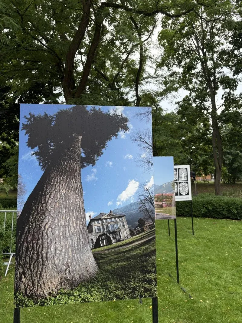 Plenerowa wystawa fotografii umieszczona na tle drzew i trawnika.