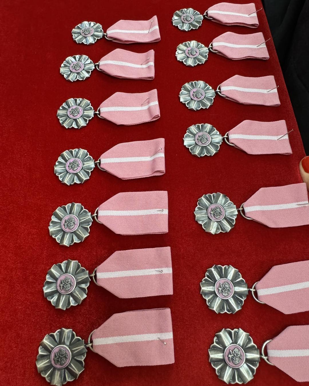 Rzędy różowych wstążek z białą pionową prążkacją. Do każdej wstążki przymocowany srebrny rozetowy medal z okrągłym emblematem, ułożone na czerwonym materiale.