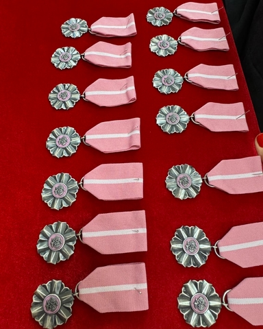 Rzędy różowych wstążek z białą pionową prążkacją. Do każdej wstążki przymocowany srebrny rozetowy medal z okrągłym emblematem, ułożone na czerwonym materiale.