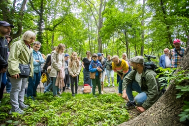 Grupa kilkunastu osób i dzieci stoi w zielonym lesie w ciągu dnia. Ludzie skupiają się wokół mężczyzny klęczącego przy pniu drzewa, niektórzy trzymają lornetki i obserwatorium terenowe stoi na statywie w tle.