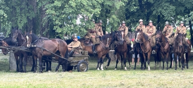 Kilku żołnierzy w brązowych mundurach i stalowych hełmach siedzi na koniach w szeregu. Obok stoi zaprzęg z dodatkowymi końmi i małym wozem. Całość znajduje się na trawniku pod gęstymi zielonymi drzewami w ciągu dnia.