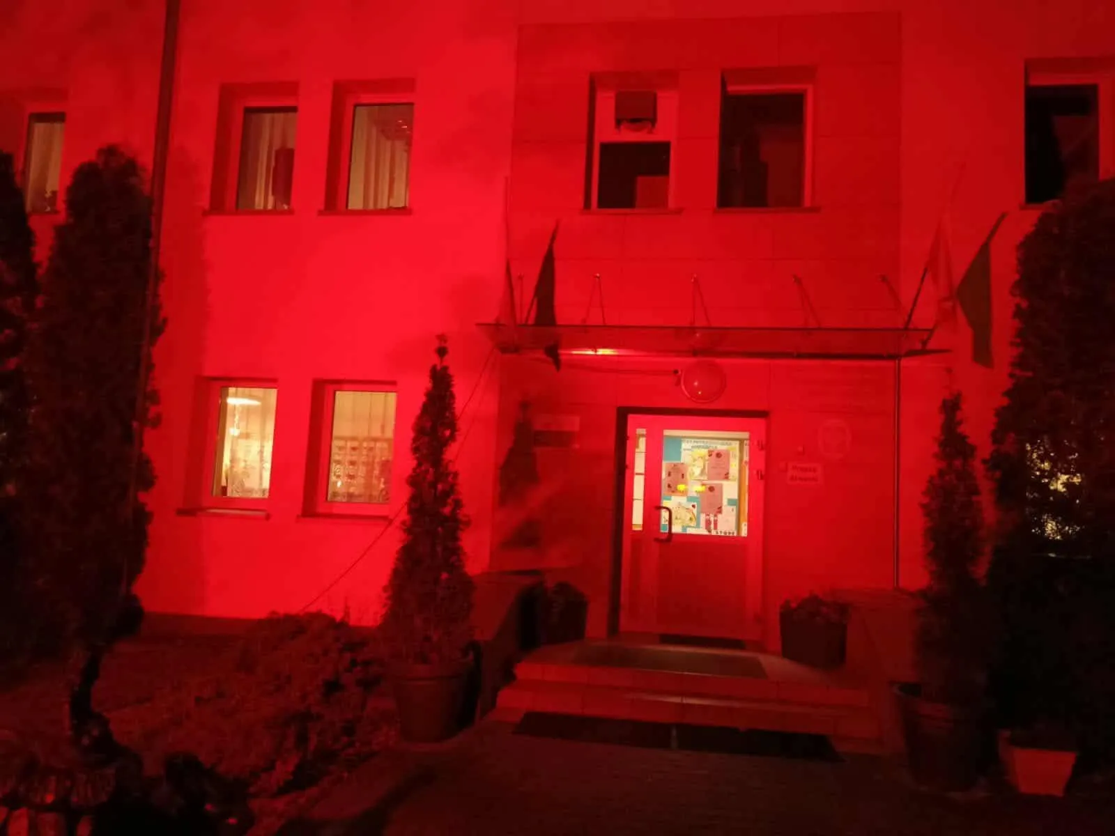 Wejście do budynku oświetlone czerwonym światłem nocą, wokół wejścia rosną wysokie rośliny w donicach, w oknach widać wnętrze o ciepłym świetle.