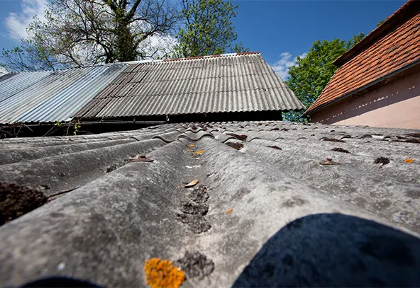 Widok na szary, pokryty mchem i porostami dach z falistych płyt azbestowych. W tle zielone drzewa i niebieskie niebo z chmurami. Po prawej fragment czerwonego dachu budynku.