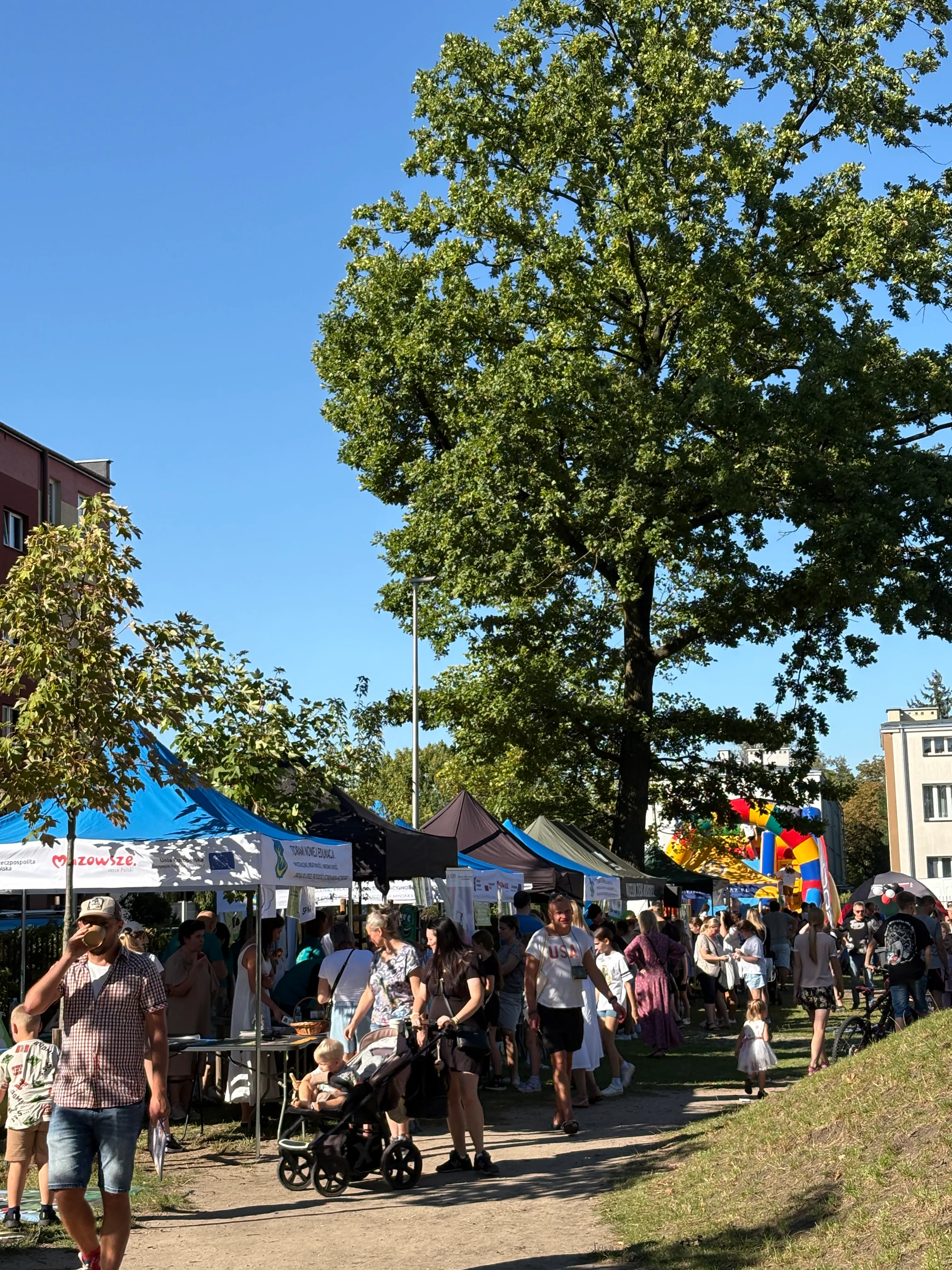 Ludzie spacerują i odwiedzają stoiska targowe ustawione wzdłuż ścieżki na zewnątrz w słoneczny dzień, pod dużym drzewem przy budynkach mieszkalnych.
