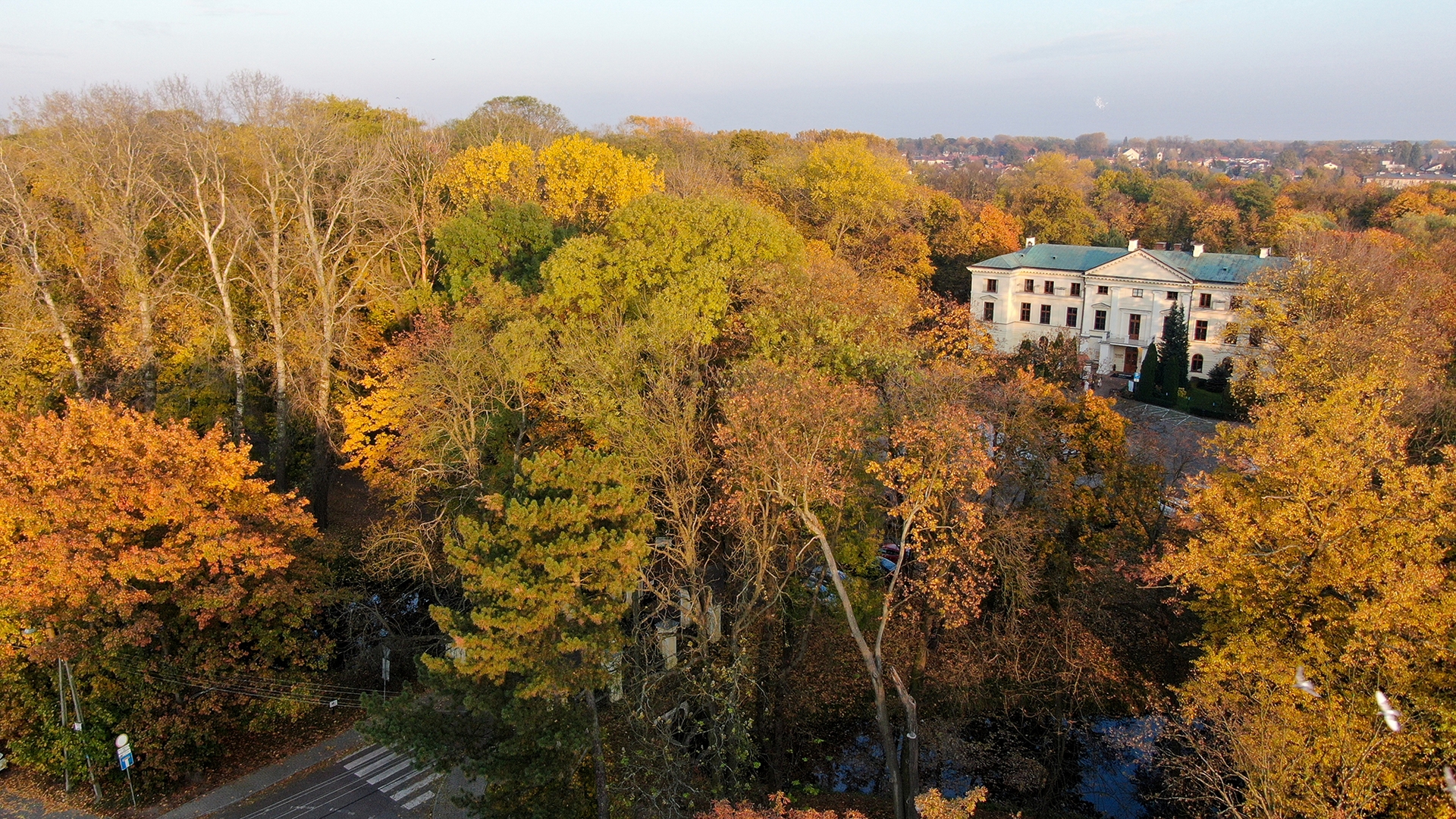 Gęsty park w jesiennych kolorach żółci, pomarańczu i zieleni. Po prawej duży biały budynek z zielonym dachem. U dołu fragment drogi z przejściem dla pieszych.
