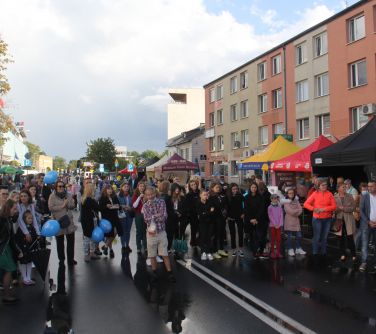 Uczestnicy pikniku. W tle namioty promocyjne miejskich jednostek.