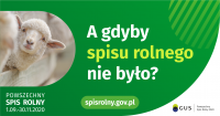 Gdyby nie było spisu rolnego - infografika