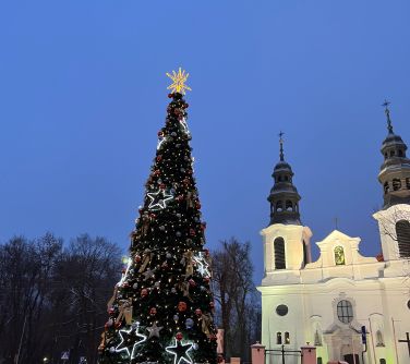 Rozświetlona i wystrojona świątecznie choinka miejska na Starym Rynku.