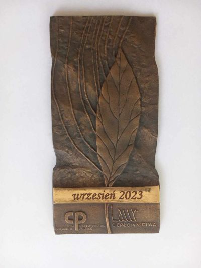 statuetka Laur Ciepłownictwa wrzesień 2023