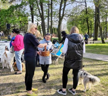 Na dworze. Grupa osób z psami. Rozmawiają w podgrupach. jedna z kobiet trzyma koszyk.