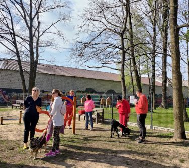 Na dworze. Grupa osób z psami. Rozmawiają w podgrupach. W tle psi wybieg.