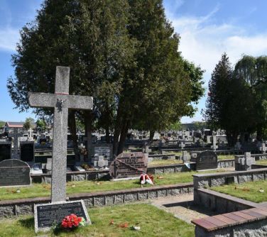 Cmentarz. Widok na groby, duży krzyż i drzewa