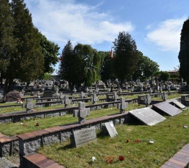 Cmentarz. Widok na groby i drzewa