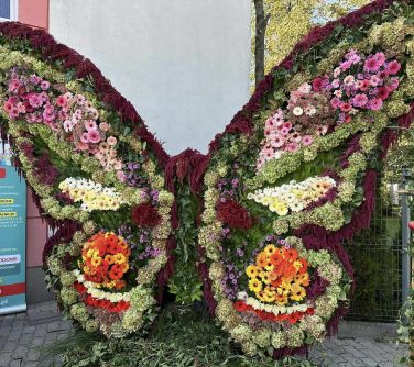 Na zewnątrz. Duży motyl zrobiony z kwiatów stoi przy ogrodzeniu.