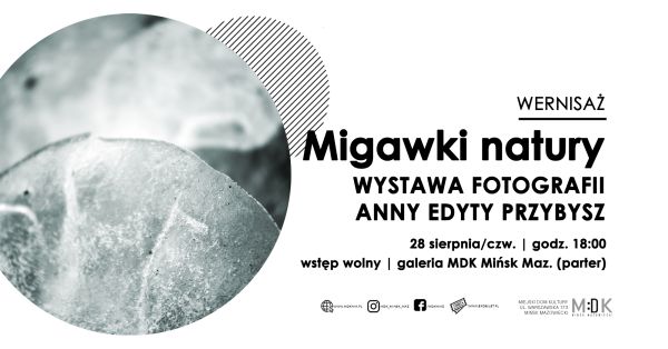 Po lewej szare zdjęcie zbliżenie naturalnego obiektu najprawdopodobniej liścia w lodzie. Po prawej na białym treść