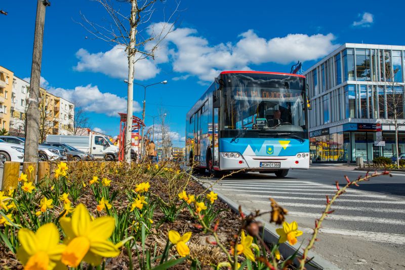 Nowe rozkłady komunikacji miejskiej od 30 sierpnia