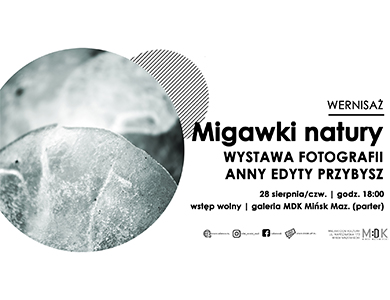 Po lewej szare zdjęcie zbliżenie naturalnego obiektu najprawdopodobniej liścia w lodzie. Po prawej na białym treść