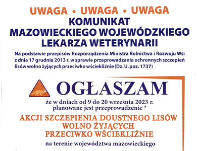 Jesienna akcja szczepienia lisów wolnożyjących przeciwko wściekliźnie