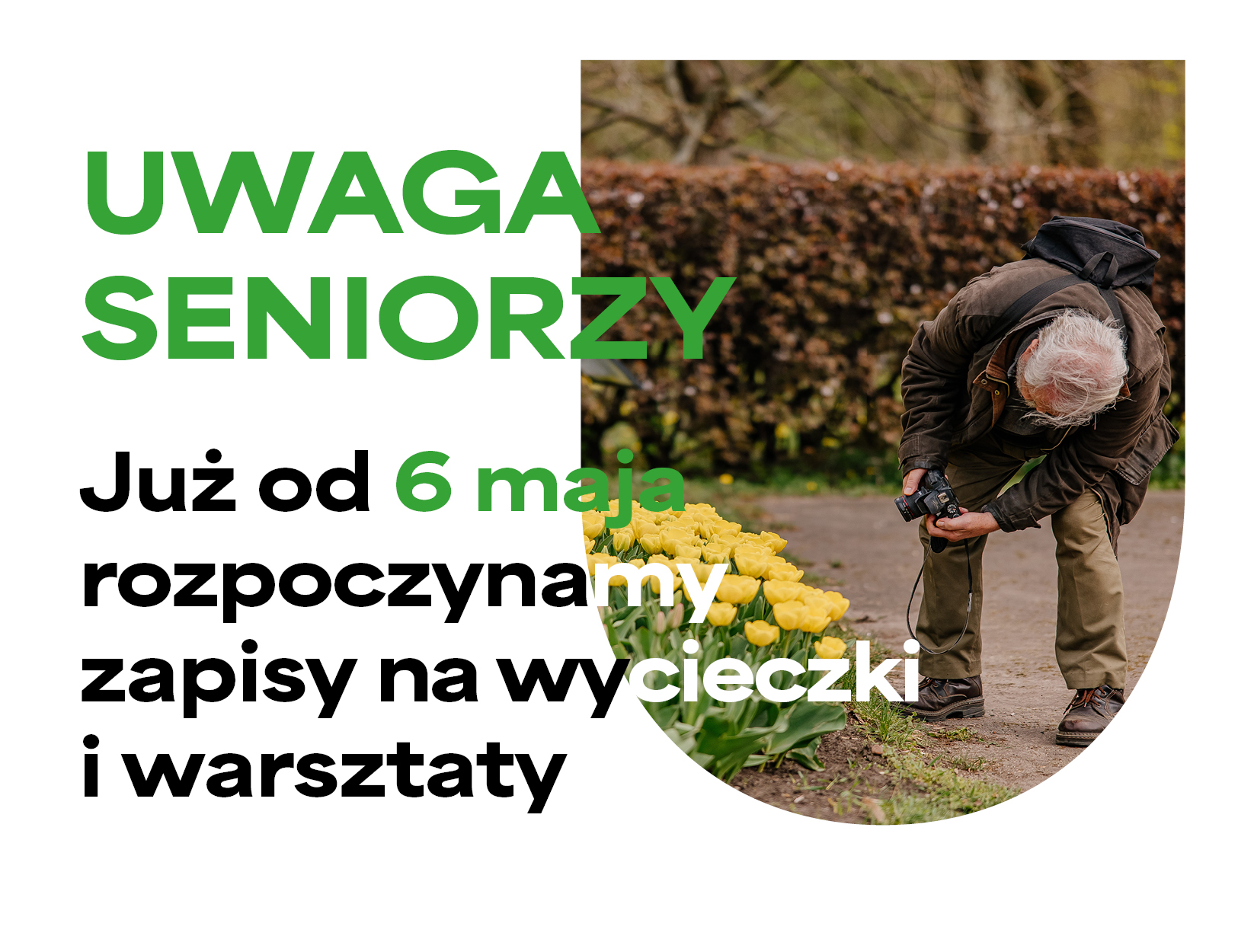 Po lewej na białym tle informacja. Po prawej pochylający się mężczyzna. Robi zdjęcie żółtym kwiatom