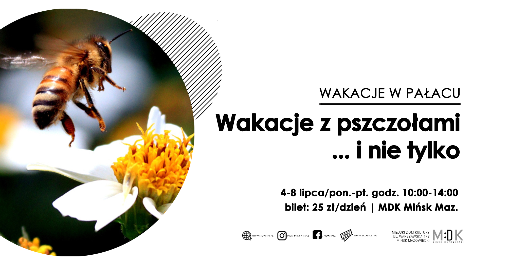 "Wakacje z pszczołami... i nie tylko" - WAKACJE W PAŁACU