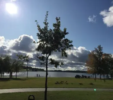 Drzewo na tle jeziora i nieba z chmurami oraz dwie osoby idące ścieżką nad wodą.